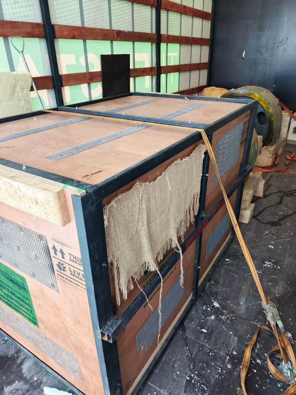 Клетка для животных, Челябинск -МО пгт. Сычево